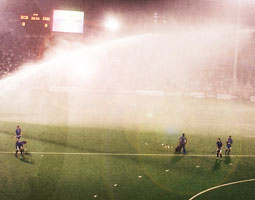 December 2010 Photo of the Month