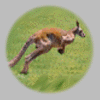 Melbourne